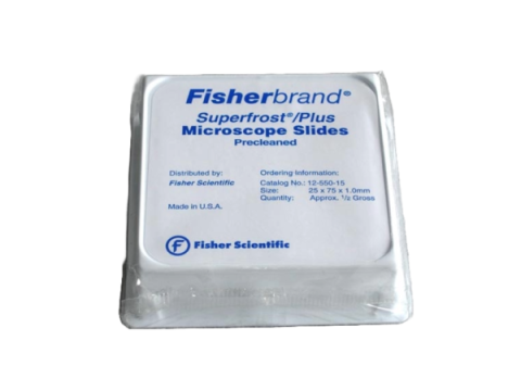 Superfrost Plus Slides White 25X75mm, 14 | Fisher Scientific Superfrost Plus Slides White 25X75mm, 14 | Fisher Scientific
