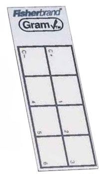 Fisherbrand Gramcheck Control/Test Slides - GRAM STAIN CONTROL SLIDE 50/PK