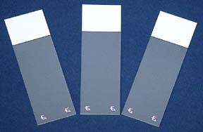 Fisherbrand™ Superfrost™ Excell™ Microscope Slides