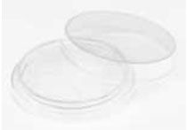 Petri Dish; 35x10mm; PS; Sterilized (500