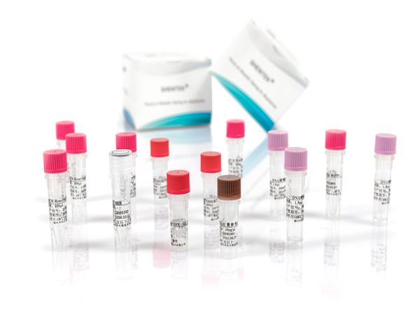 SHENTEK® Residual E. coli DNA Size Analysis Kit (2G)