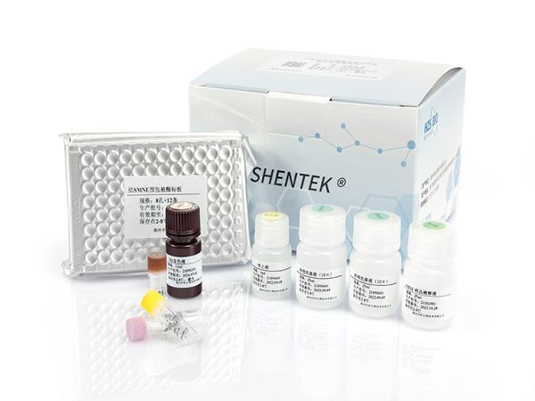 SHENTEK® Nonspecific Endonuclease (SMNE) ELISA Kit