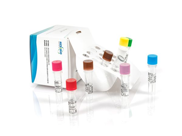 SHENTEK® Reverse Transcriptase Assay kit