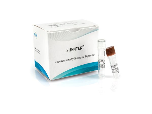 MycoSHENTEK® Mycoplasma pneumoniae DNA Standard (1×108 copies/μL)