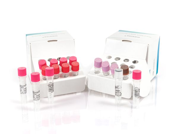SHENTEK® Residual HEK293 DNA Size Analysis Kit 
