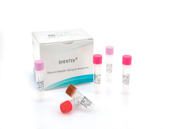 SHENTEK® Residual Vero DNA Quantitation Kit