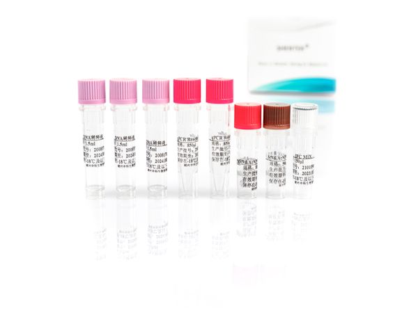 SHENTEK® Residual Sf9 Residual DNA Size Analysis Kit 