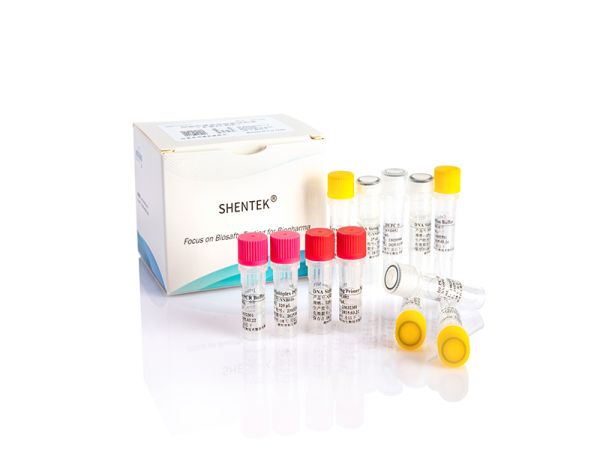 SHENTEK® 10-Species Cell Line Authentification Kit
(Cattle/Pig/Dog/Cat/Mouse/Rat/Chinese Hamster/Green Monkey/Rhesus Monkey/Human)