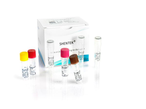 SHENTEK® Replication-Competent Retrovirus (RCR) Quantitation Kit 