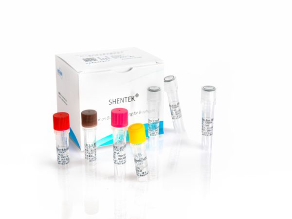 SHENTEK®  Replication-Competent Lentivirus (RCL) Quantitation Kit
