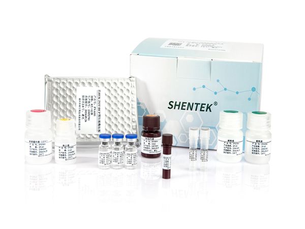 SHENTEK® HEK293 HCP ELISA Kit (One-step ELISA) 