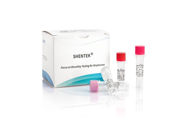 SHENTEK® BVDV Detection Kit