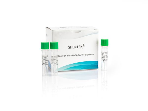 SHENTEK® BVDV Positive Control
