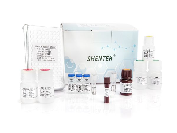 SHENTEK® MDCK HCP ELISA Kit (One-step ELISA) 