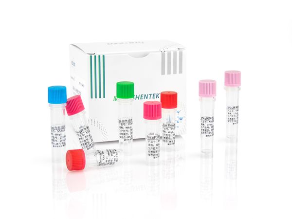 MicroSHENTEK® Fungi DNA Detection Kit 