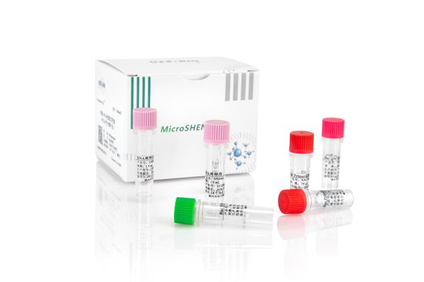 MicroSHENTEK® Bacteria DNA Detection Kit 