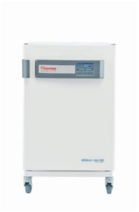 Thermo Scientific™ Heracell™ CO2 Incubator VIOS 250i TC-180 + CO2 regulator 