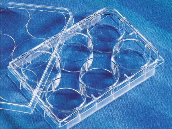 Multiple Well Plates wt Lid, 50/Cs