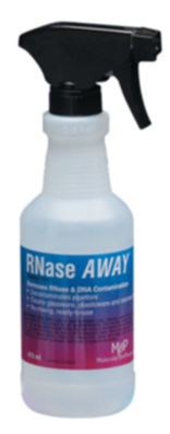 RNase Away, 475ml spray bottle