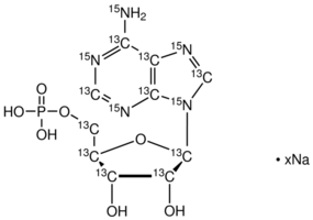 Adenosine-13C10,15N5 5'-monophosphate sodium salt, 10mg