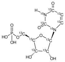 Uridine-13C9, 15N2 5'-monophosphate sodium salt, 10mg