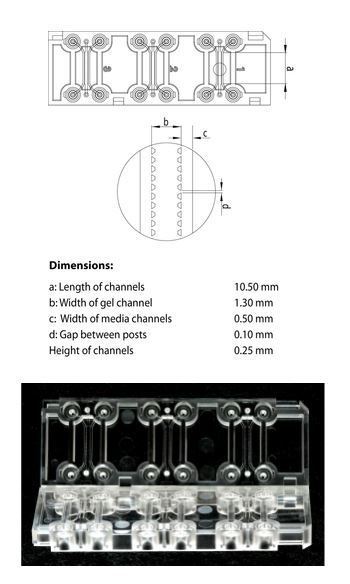 3D Cell Culture Chip, 25/Bx