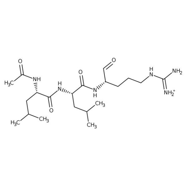 Leupeptin, 90%, synthetic