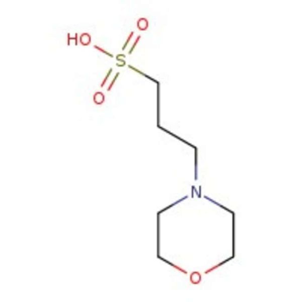 MOPS 10X buffer solution, pH 7