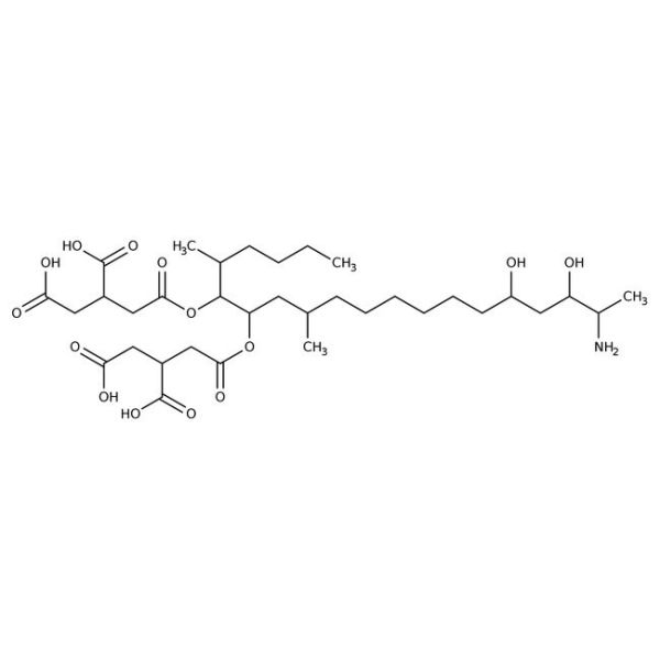 Fumonisin B2, 96+% 1MG