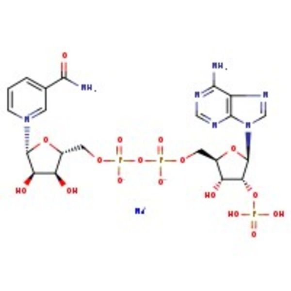 beta-Nicotinamide adenine dinucleotide phosphate monosodium salt tetrahydrate, Affymetrix/USB