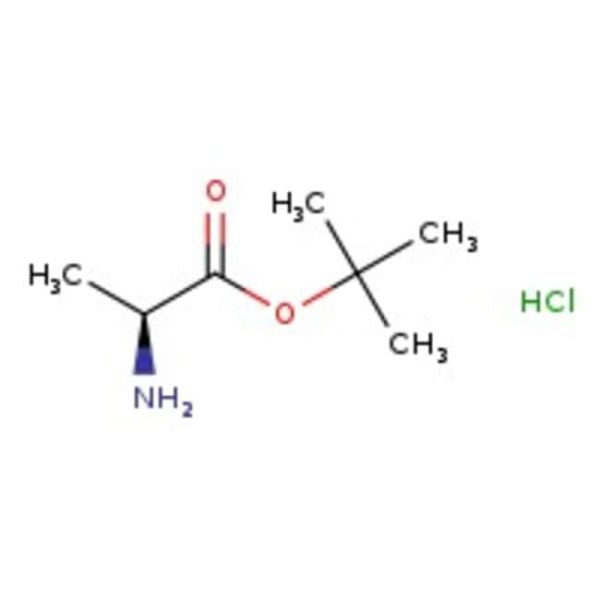 L-Alanine tert-butyl ester hydrochloride, 99%