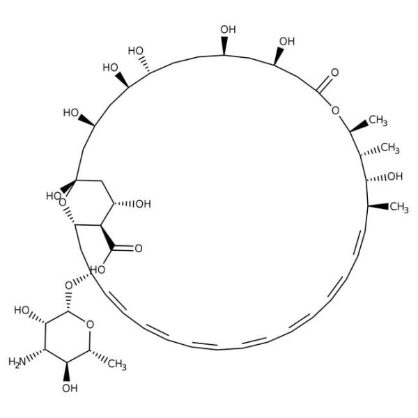 Amphotericin B, 250 ^mg/ml, 50ml