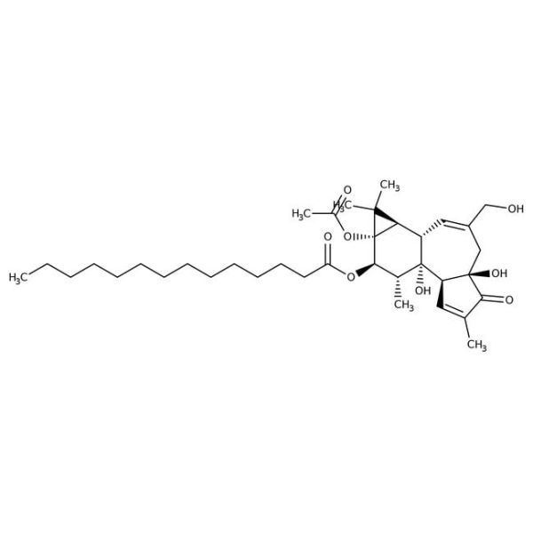 Phorbol 12-myristate 13-acetate, 99+%