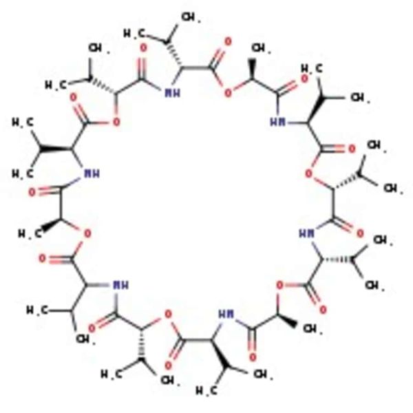 Valinomycin, 90+%