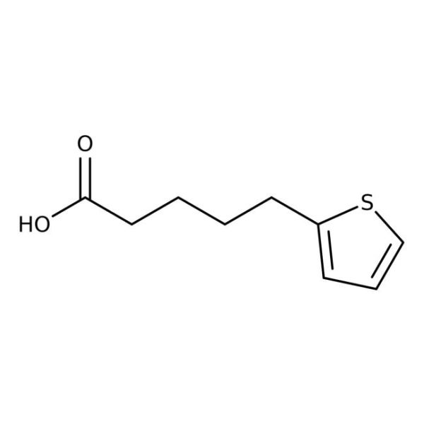 5-(2-Thienyl)pentanoic acid, 95%