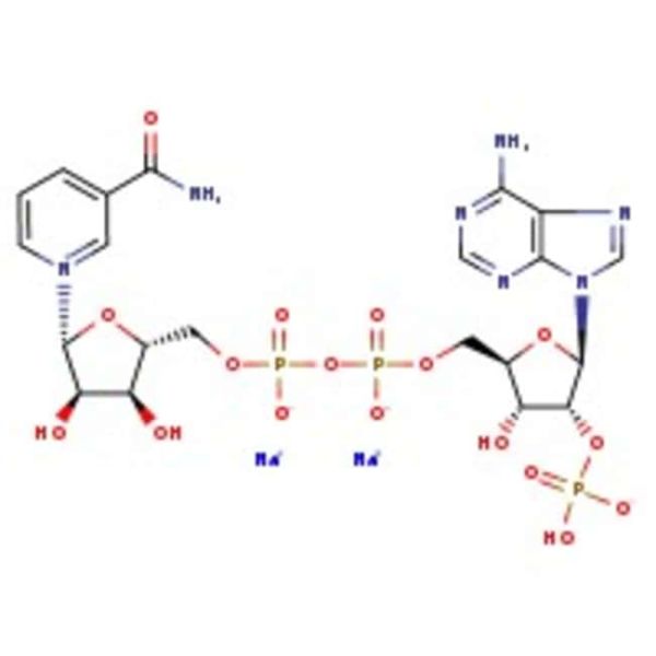 ^b-Nicotinamide adenine dinucleotide phosphate disodium salt, 97%