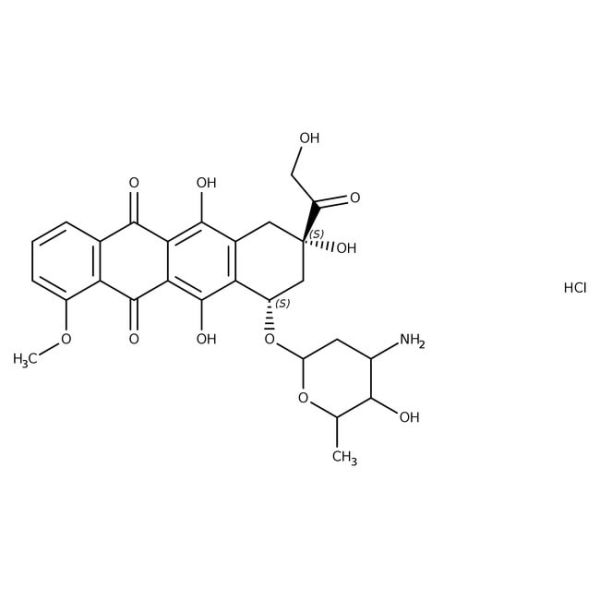 Doxorubicin hydrochloride, 10 mg/ml in dH2O, sterilised 1ml