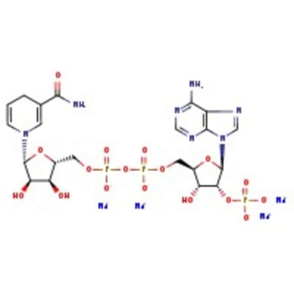 ^b-Nicotinamide adenine dinucleotide phosphate reduced tetrasodium salt, 95%