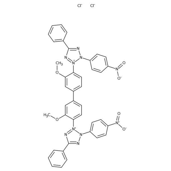 Nitro Blue Tetrazolium Chloride, 90%