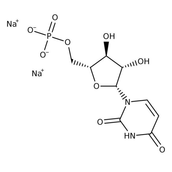 Uridine 5'-monophosphate, disodium salt, hydrate, 98%, 1GR