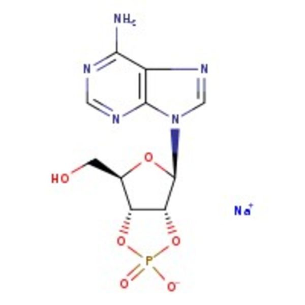 Adenosine-2',3'-cyclic monophosphate sodium salt, 97%