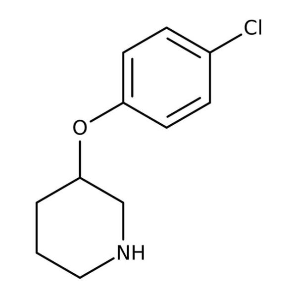 3-(4-Chlorophenoxy)piperidine, 97%