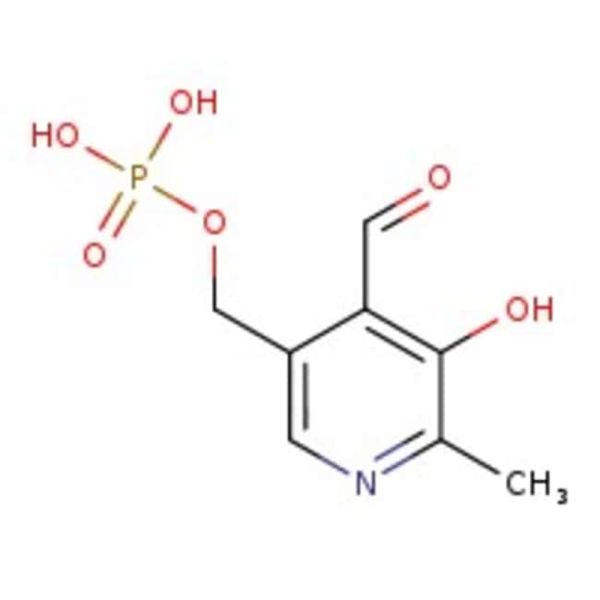 Pyridoxal 5-phosphate monohydrate, 99%