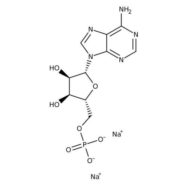 Adenosine-5-monophosphate disodium salt 5g-FROZEN