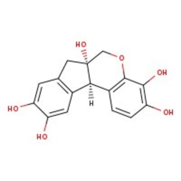 Hematoxylin Cert Bio Stain 25G