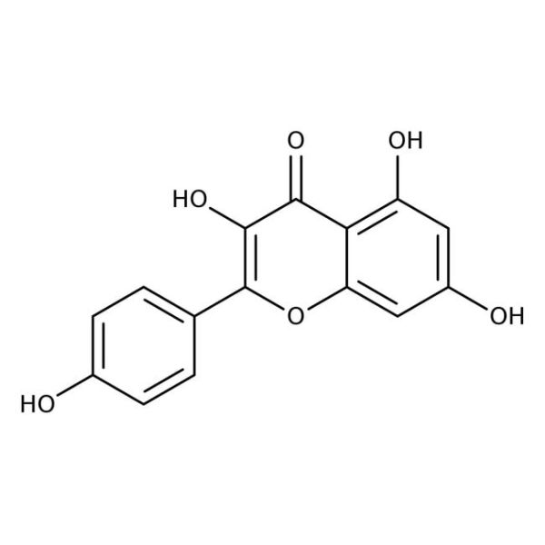 Kaempferol, 98+%, 50mg