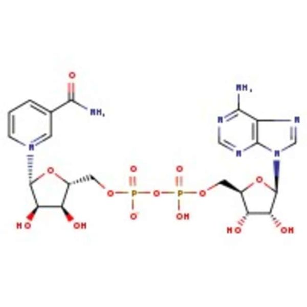beta-Nicotinamide adenine dinucleotide hydrate, 98+% 250MG
