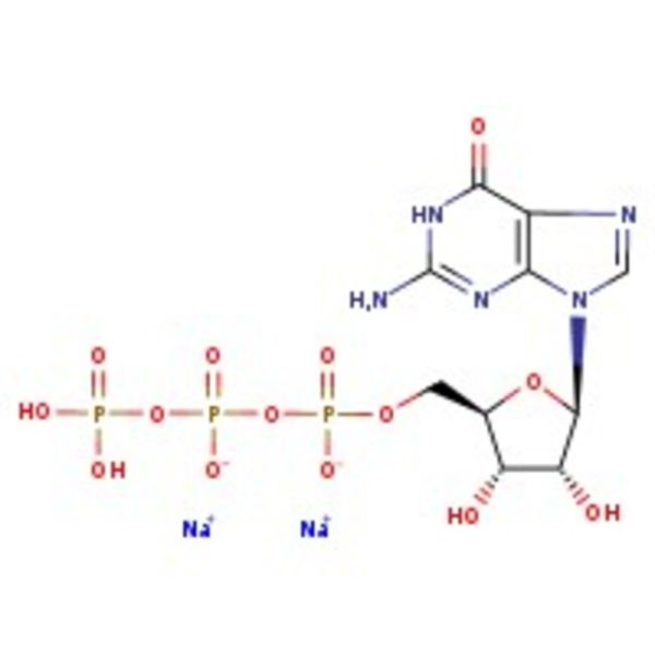 Guanosine-5'-triphosphate disodium salt