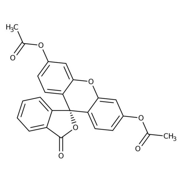 Fluorescein diacetate, 97%, pure
