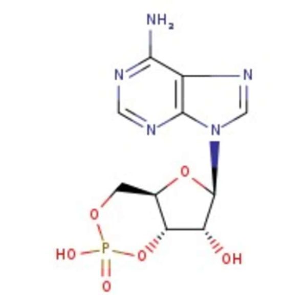 Adenosine-3',5'-cyclic monophosphate, 98%